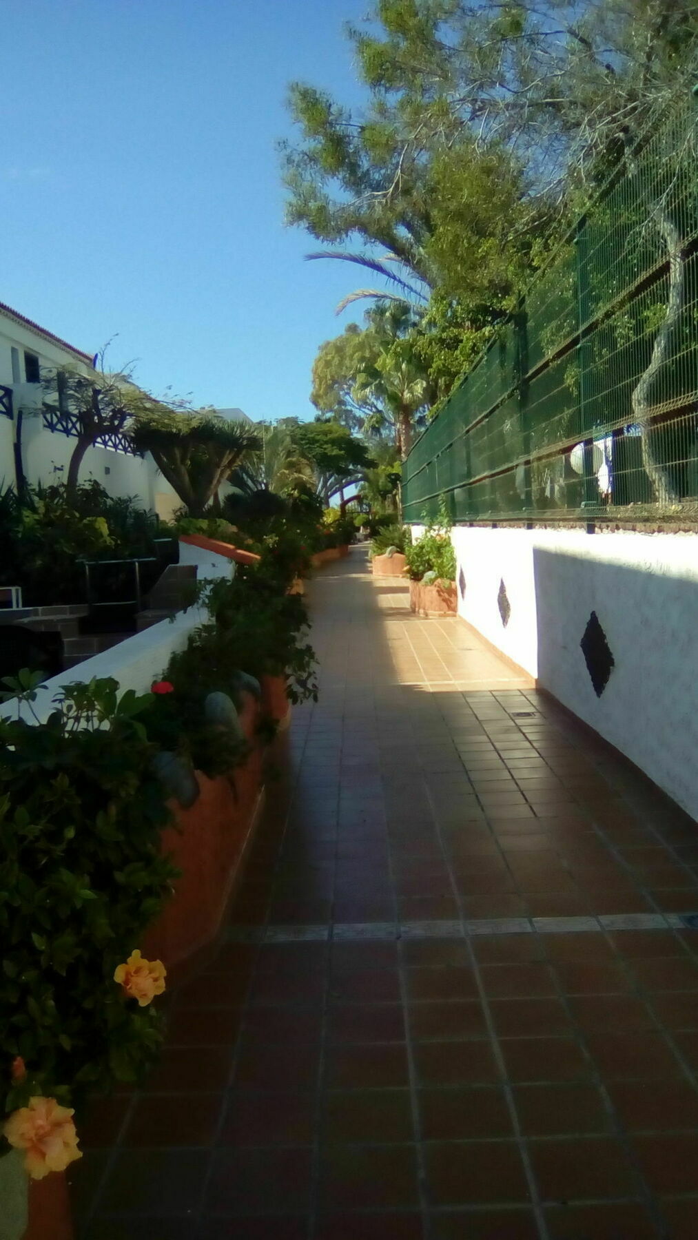 Parque Don Jose 110 Leilighet Costa Del Silencio Eksteriør bilde